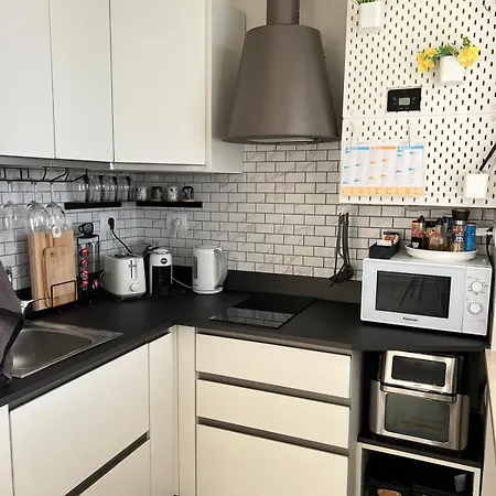 公寓 The Birdsong Between Two Lakes Nebbiuno