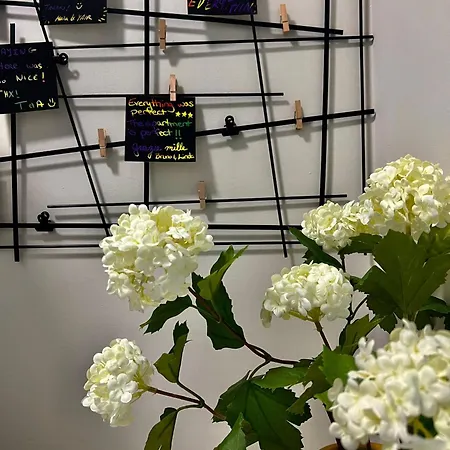 The Birdsong Between Two Lakes *